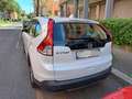 Honda CR-V CR-V IV 2013 1.6 Elegance 2wd Bianco - thumbnail 2