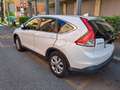 Honda CR-V CR-V IV 2013 1.6 Elegance 2wd Bianco - thumbnail 3
