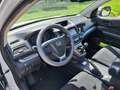 Honda CR-V CR-V IV 2013 1.6 Elegance 2wd Bianco - thumbnail 8