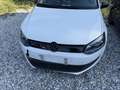 Volkswagen Polo Highline 1,2 TDI DPF - thumbnail 3
