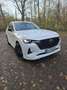 Mazda CX-60 2.5 AWD PHEV Aut. HOMURA Weiß - thumbnail 3
