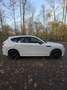 Mazda CX-60 2.5 AWD PHEV Aut. HOMURA Weiß - thumbnail 4