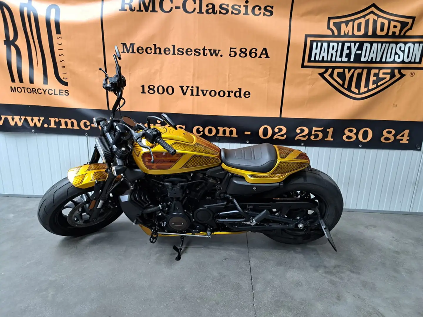 Harley-Davidson Sportster Sport SPORT - S 1250 Auriu - 2