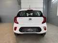 Kia Picanto 1,0 MPI Titan*1-Besitz* Weiß - thumbnail 11