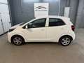 Kia Picanto 1,0 MPI Titan*1-Besitz* Weiß - thumbnail 7