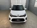 Kia Picanto 1,0 MPI Titan*1-Besitz* Weiß - thumbnail 4