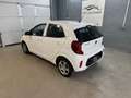 Kia Picanto 1,0 MPI Titan*1-Besitz* Weiß - thumbnail 8