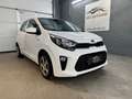 Kia Picanto 1,0 MPI Titan*1-Besitz* Weiß - thumbnail 2