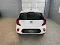 Kia Picanto 1,0 MPI Titan*1-Besitz* Weiß - thumbnail 10
