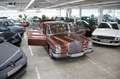 Mercedes-Benz S 250 250 SE W108 *H-Zulassung* Braun - thumbnail 8