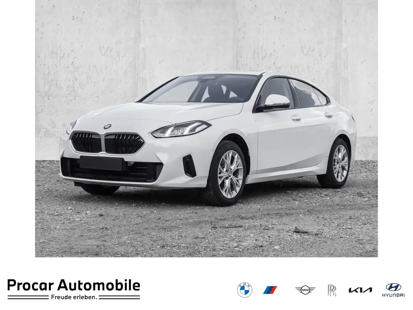 BMW 216 PANO DA PA RFK PDC Klima Navi DAB Alb - 1
