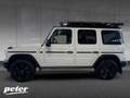 Mercedes-Benz G 450 d Professional/Superior/Night/360°K/AHK Weiß - thumbnail 19
