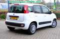 Fiat Panda 0.9 TwinAir Lounge Pano|Airco|Blue+Me Wit - thumbnail 3