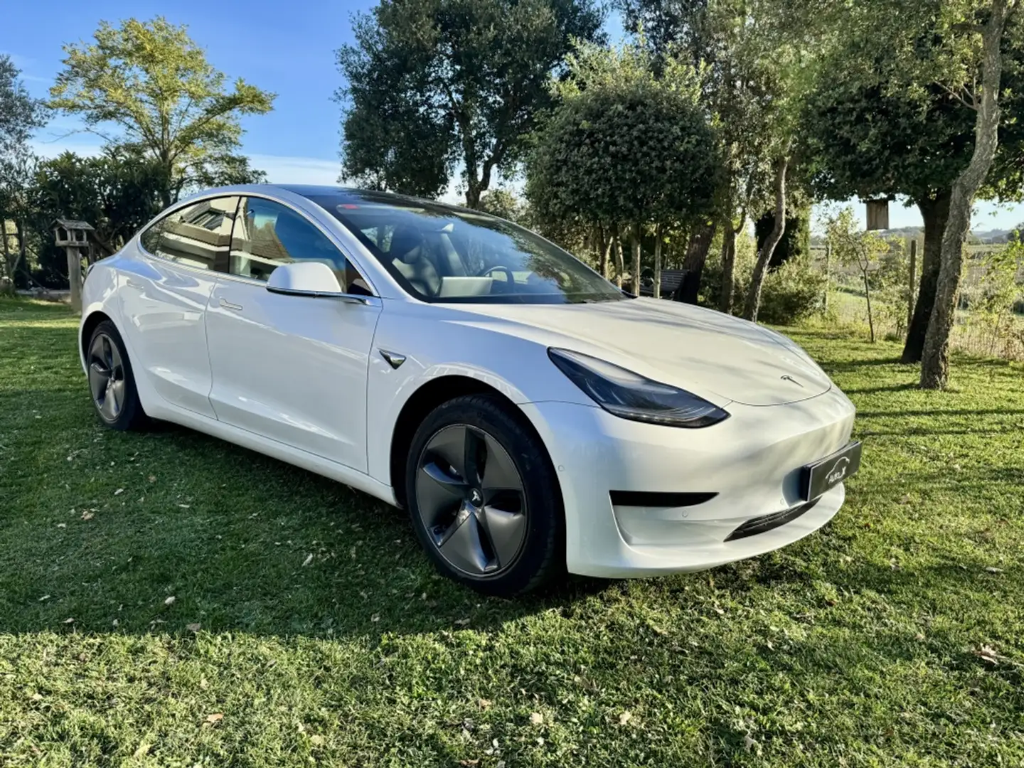 Tesla Model 3 Standard RWD Plus Blanco - 1