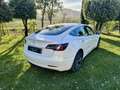Tesla Model 3 Standard RWD Plus Blanco - thumbnail 7