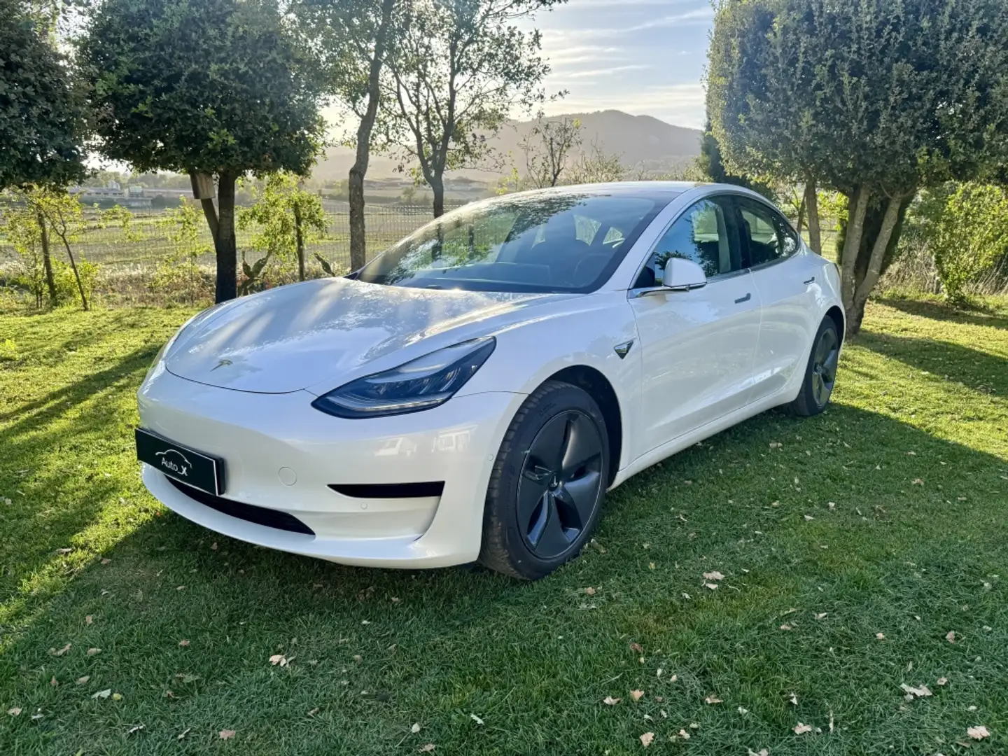 Tesla Model 3 Standard RWD Plus Blanco - 2