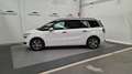 Citroen C4 BlueHDi 120cv Intensive Plus Blanco - thumbnail 2
