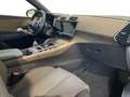 DS Automobiles DS 7 Crossback DS 7 Crossback BlueHDi 130 aut. Performace Line Nero - thumbnail 11