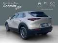Mazda CX-30 Prime-Line AUTOMATIK  TAGESZULASSUNG 12.2025 Beige - thumbnail 3