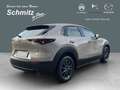Mazda CX-30 Prime-Line AUTOMATIK  TAGESZULASSUNG 12.2025 Beige - thumbnail 5