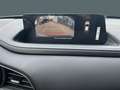 Mazda CX-30 Prime-Line AUTOMATIK  TAGESZULASSUNG 12.2025 Beige - thumbnail 16
