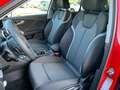 Audi Q2 35 TDI S-Tronic S-Line, EA8, Sportsitze, Smar Rot - thumbnail 10
