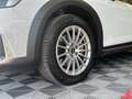 Audi A4 allroad A4 allroad 40 TDI 204 CV S tronic Business Blanco - thumbnail 23