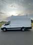 Ford Transit L4H3 *MwSt*R-Kamera*TW-Ass*Navi*Temp Weiß - thumbnail 7