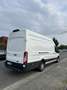 Ford Transit L4H3 *MwSt*R-Kamera*TW-Ass*Navi*Temp Weiß - thumbnail 4