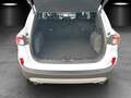 Ford Kuga 2.5 Titanium X Aut./LED/GRA/KAMERA/NAVI/SHZ Blanco - thumbnail 15