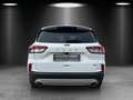 Ford Kuga 2.5 Titanium X Aut./LED/GRA/KAMERA/NAVI/SHZ Blanco - thumbnail 4