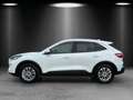 Ford Kuga 2.5 Titanium X Aut./LED/GRA/KAMERA/NAVI/SHZ Blanco - thumbnail 2