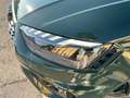 Audi RS4 Avant 2.9 tfsi quattro 450cv tiptronic SUBENTRO Vert - thumbnail 14