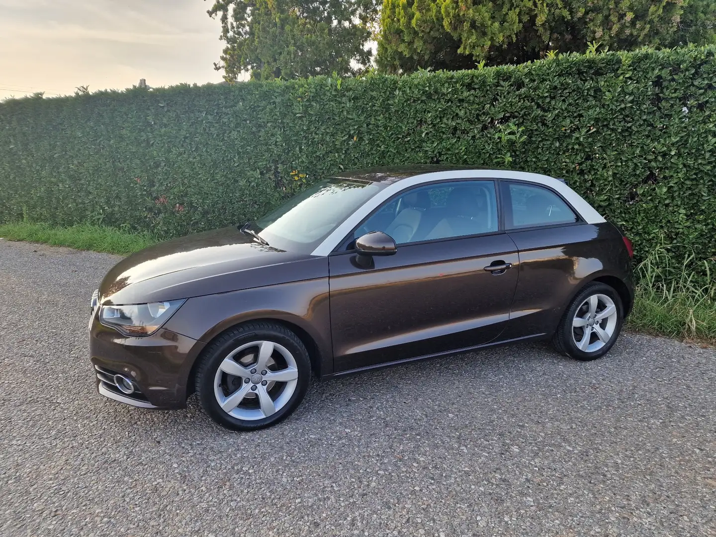 Audi A1 1.2 tfsi Ambition c/clima - 2