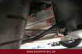 Lotus Elise Sport 220 - 1.Hand - Top Zustand Groen - thumbnail 14