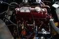 MG MGA MGA 1500 Restored top condition (1955) Grün - thumbnail 17