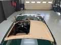 MG MGA MGA 1500 Restored top condition (1955) Grün - thumbnail 7