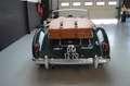 MG MGA MGA 1500 Restored top condition (1955) Grün - thumbnail 45