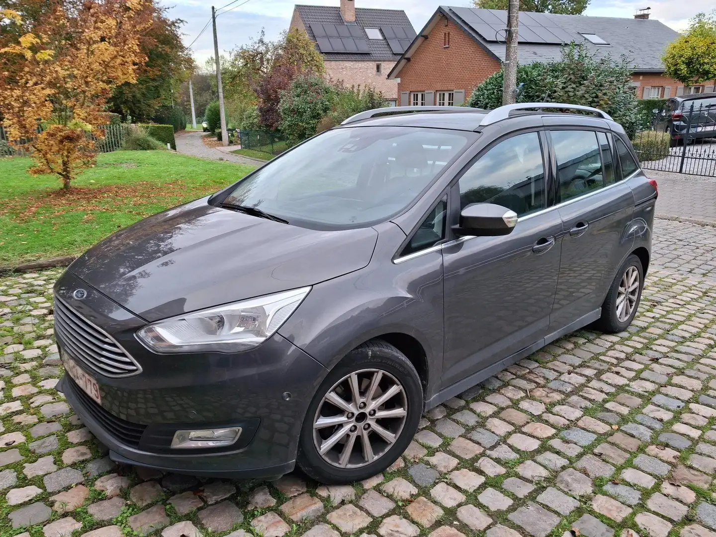 Ford Grand C-Max Grand C-Max 1.5 TDCi Titanium (EU6.2) Zilver - 1