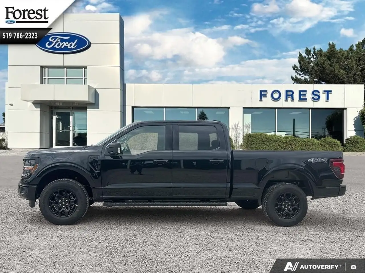 Ford F 150 fotografie Ford F 150