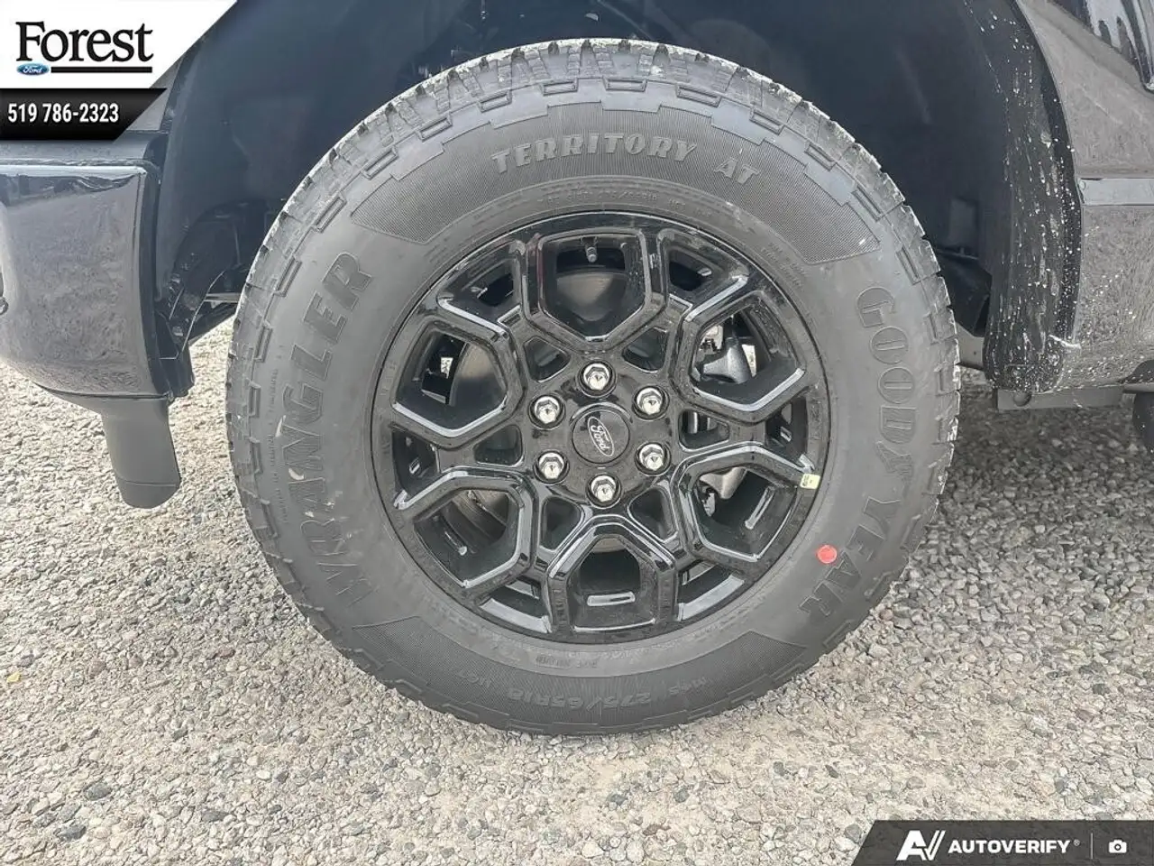 Ford F 150 fotografie Ford F 150