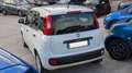 Fiat Panda GPL 1.2cc 69cv Blanc - thumbnail 4