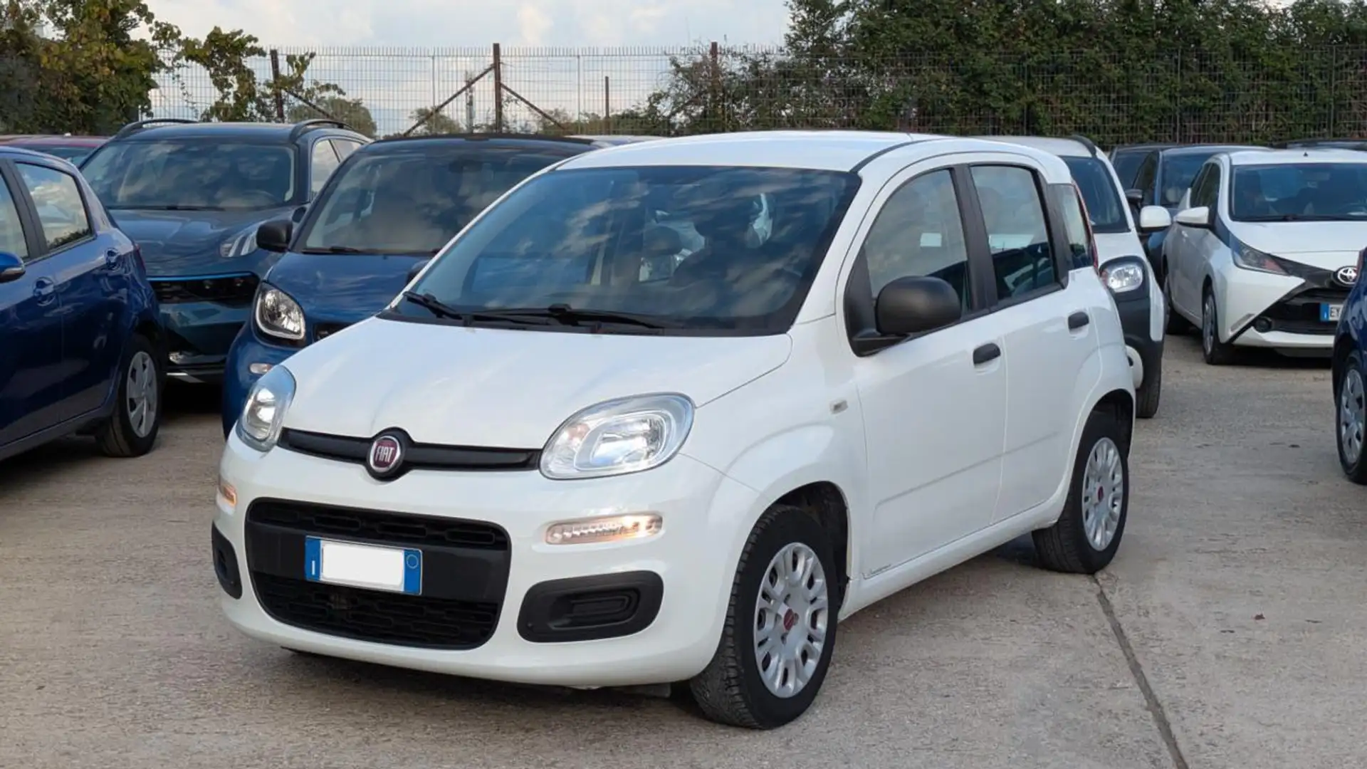 Fiat Panda GPL 1.2cc 69cv Blanc - 2
