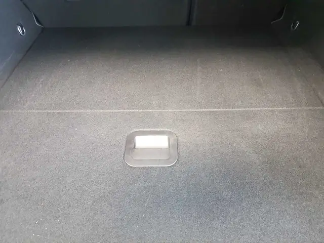 Ford Focus view 15