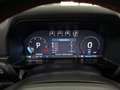 Ford Ranger Raptor e-4WD Doppelkabine Unfallfrei Argent - thumbnail 11