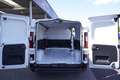 Renault Trafic L2H1 3,0t 170dci 5*J.Gar/Voll-LED/Kamera/Temp. Weiß - thumbnail 13