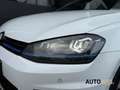 Volkswagen Golf GTE 1.4 TSI GTE|LED|Camera|GOED ONDERHOUDEN|CLIMA|CRUI Weiß - thumbnail 14