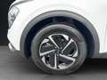 Kia Sportage SPORTAGE 1.6T 48V 2WD DCT VISION KOMFORT Blanc - thumbnail 8