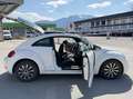 Volkswagen Beetle 1.6 TDI || VHB - thumbnail 4
