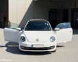 Volkswagen Beetle 1.6 TDI || VHB - thumbnail 3